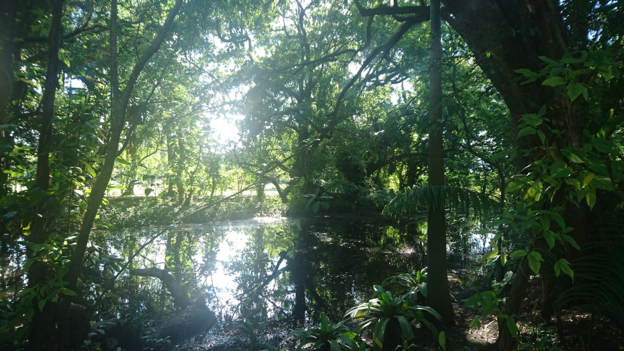 Gartenanlage Viva Heavens by Wyndham - All Inclusive Resort