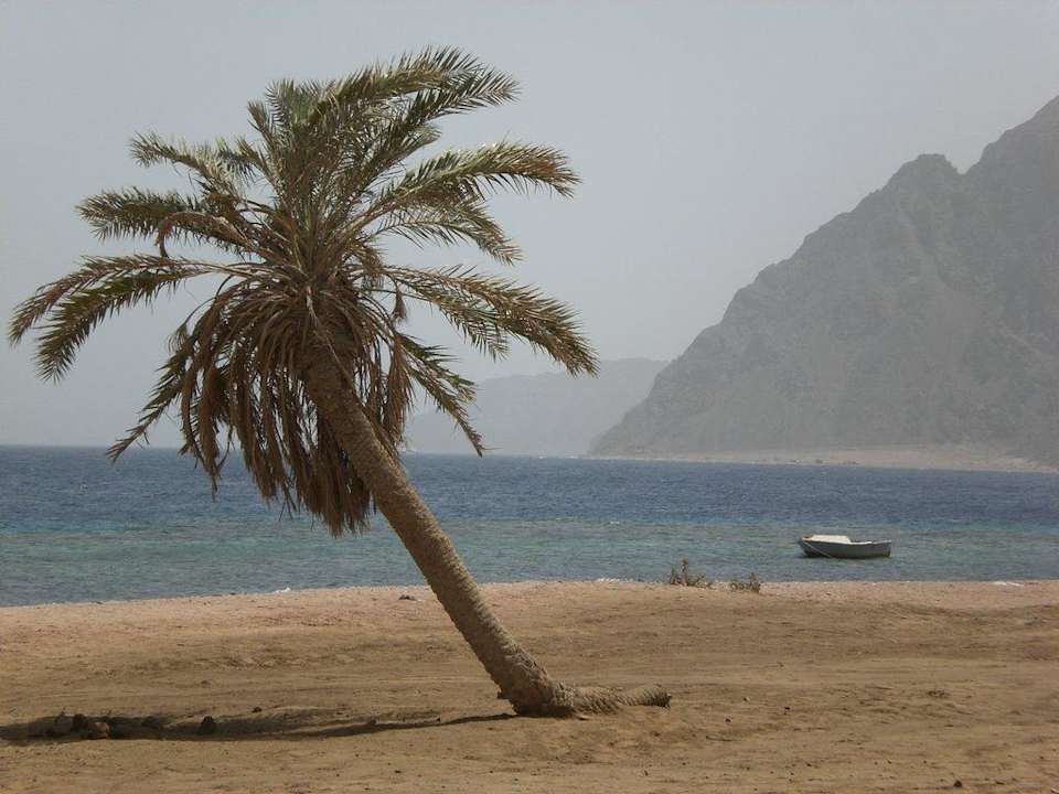 Blick über das Naturschutzgebiet am Hotel Happy Life Village