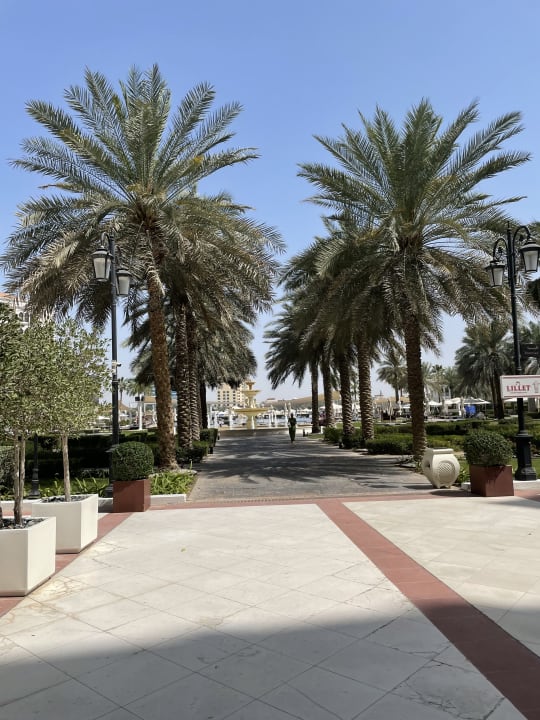 Pool The Ritz-Carlton Abu Dhabi Grand Canal