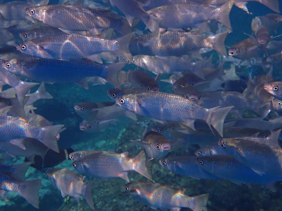 Strand Three Corners Sea Beach Resort
