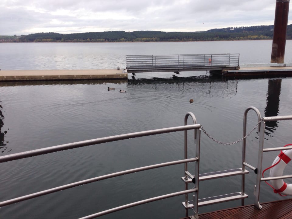 Ausblick Floating Village Brombachsee