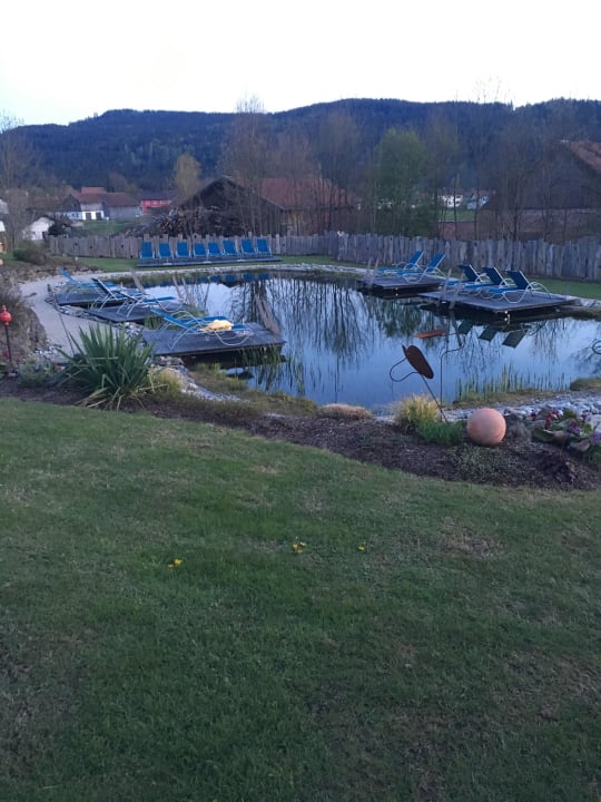 Außenpool Hotel Lindenwirt