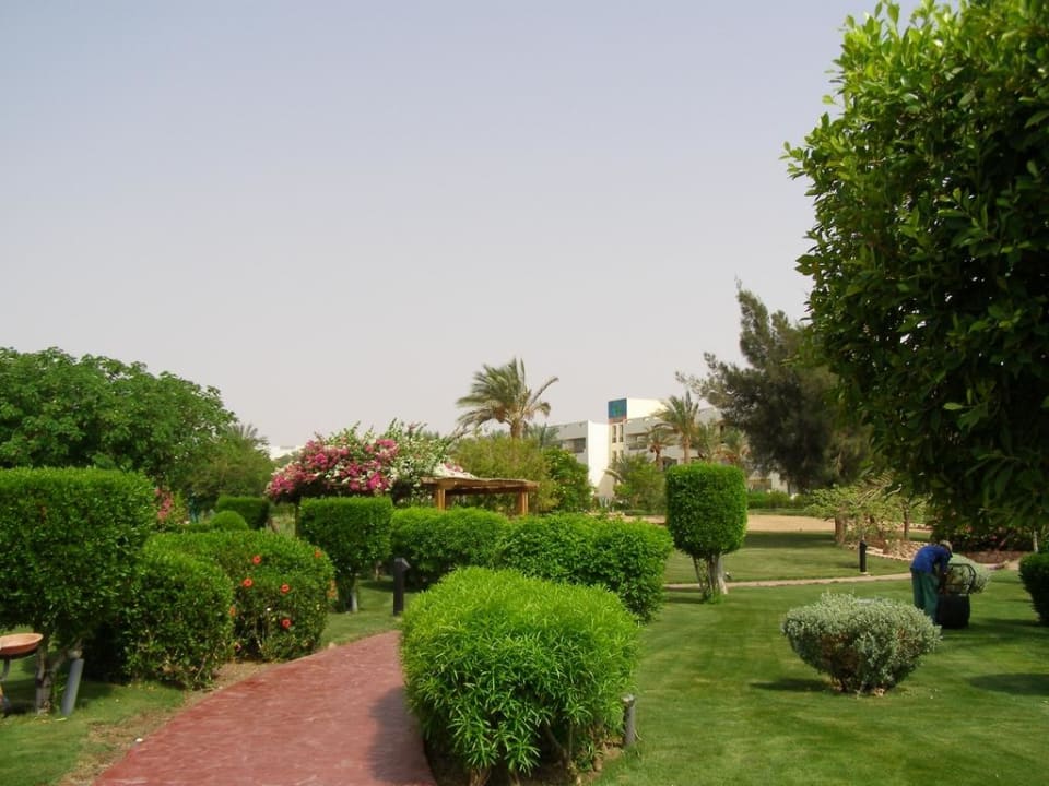 Alejka ogrodowa Coral Sea Waterworld