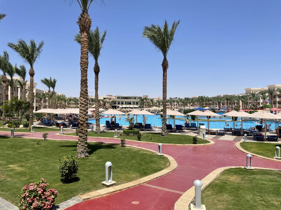 Pool Pickalbatros Palace Resort