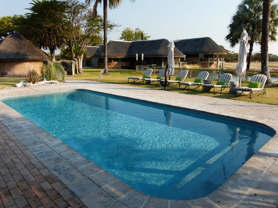 Pool Onguma Game Reserve