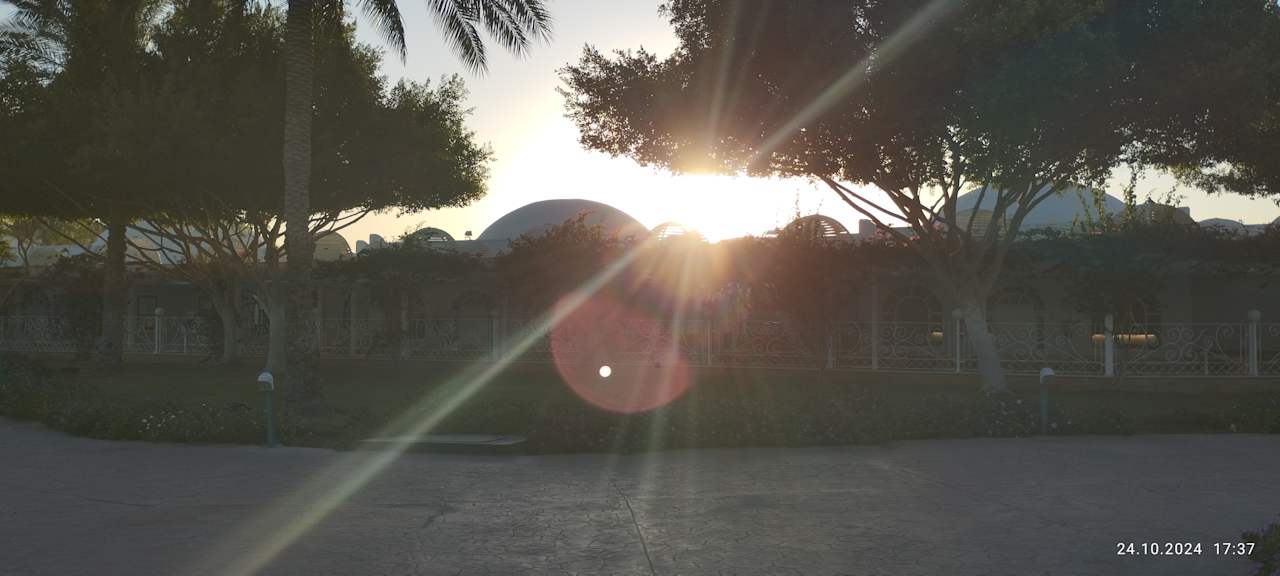 Gartenanlage Desert Rose