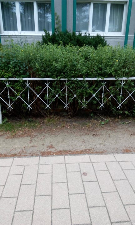 Vorn(kaputte Zäune, Unkraut) Strandhotel Ahlbeck