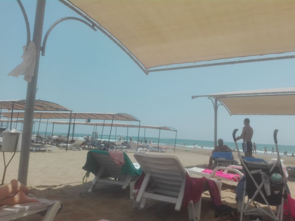 Strand Calimera Hane Garden