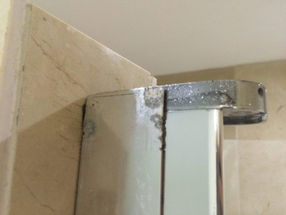 Tür der Dusche Villas Bavaro Resort & Spa