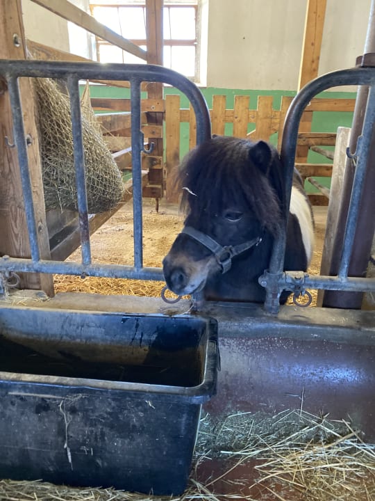Sonstiges Staller Ferienhof