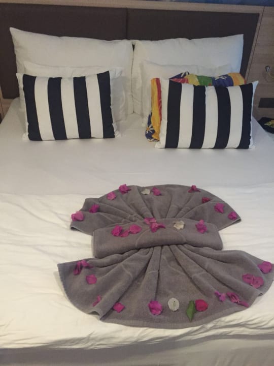 Zimmer Sunprime C-Lounge