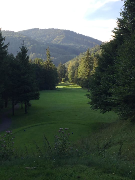 9 Loch Kurs Wallerbach Pension Golfclub Adamstal