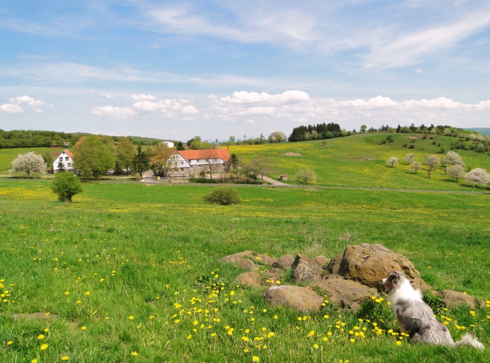 Außenansicht Burgbauernhof Katzenstein