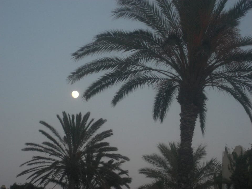 Schön Mahdia Beach & Aquapark