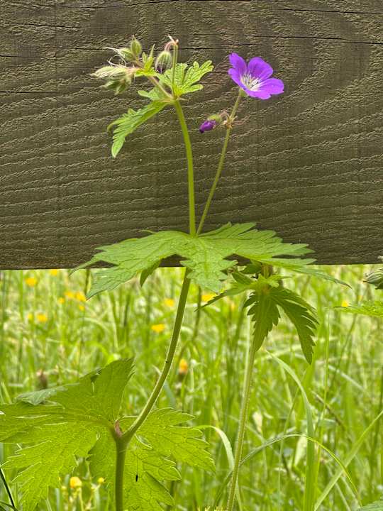 Sonstiges Aktiv Panoramahotel Daniel
