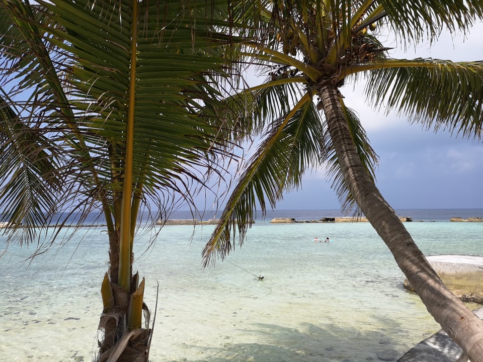 Ausblick Ellaidhoo Maldives by Cinnamon