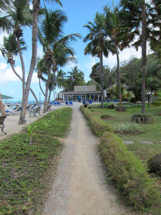 Weg zum Pool The Coco de Mer Hotel & Black Parrot Suites
