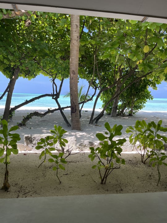 Gastro Rahaa Resort Maldives