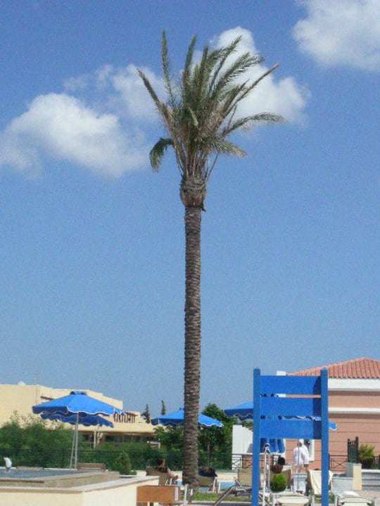 Gartenanlage Porto Bello Royal