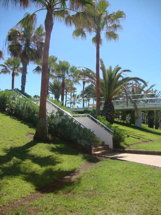 Gartenanlage Riu Club Gran Canaria Hotel Riu Gran Canaria