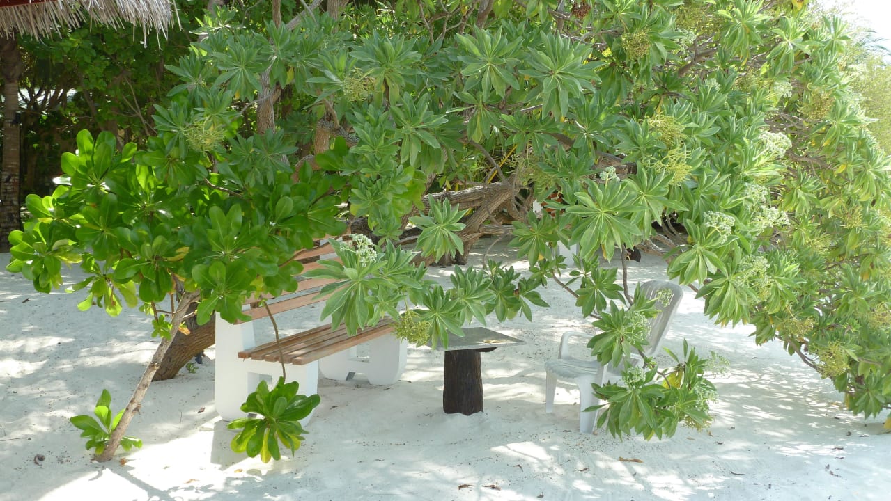 Ruhepunkt auf der Insel Summer Island Maldives