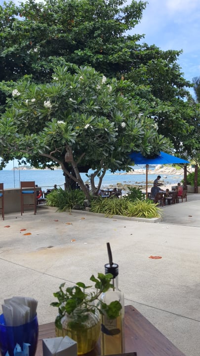 Gastro SAii Koh Samui Villas (adult only 12+)