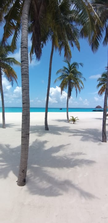 Strand Hondaafushi Island Resort