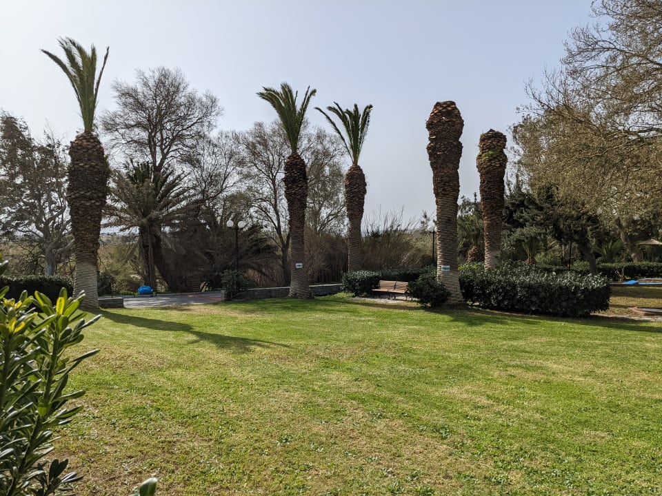 Gartenanlage Apollonia Beach Resort & Spa