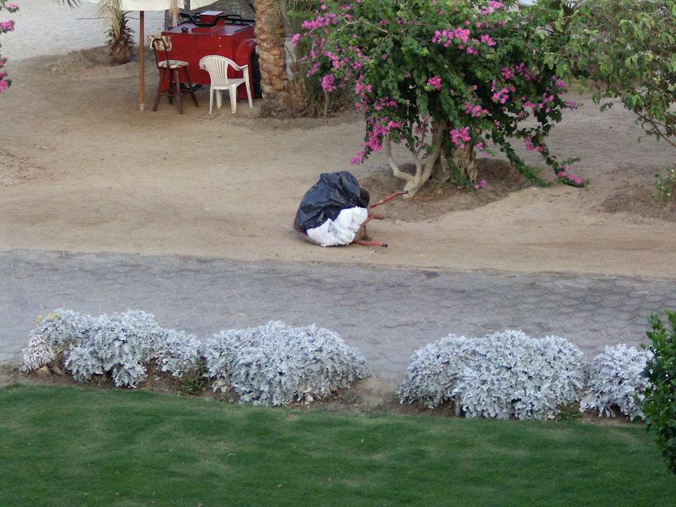 Abfallsäcke Brayka Bay Resort