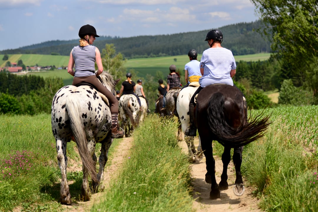 Sport & Freizeit Tigerhill-Ranch-Norikerhof