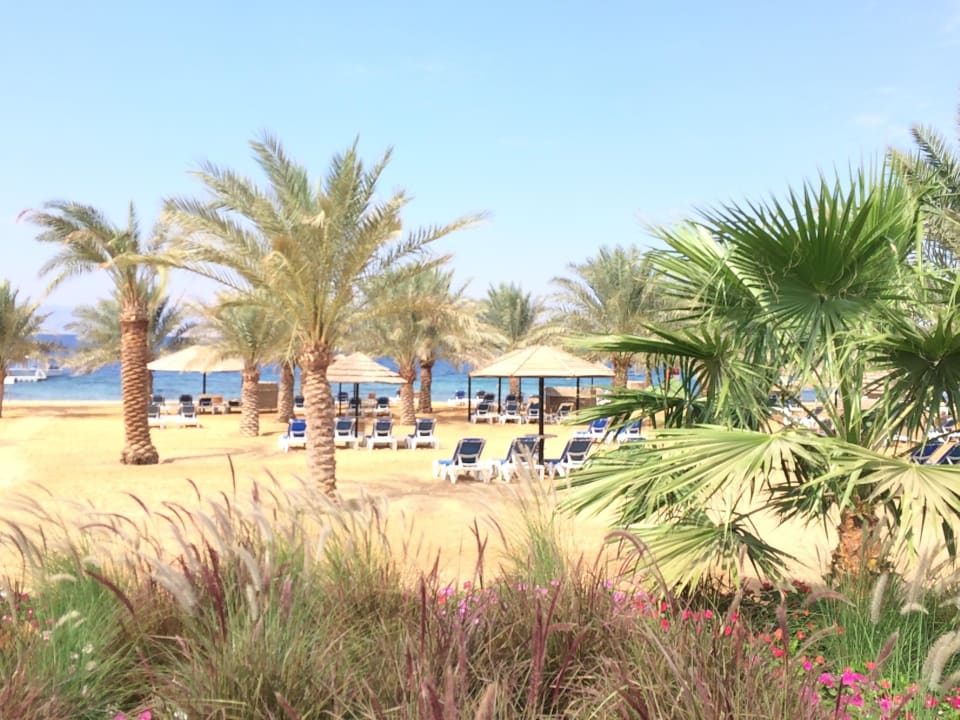 Strand Mövenpick Resort Tala Bay Aqaba