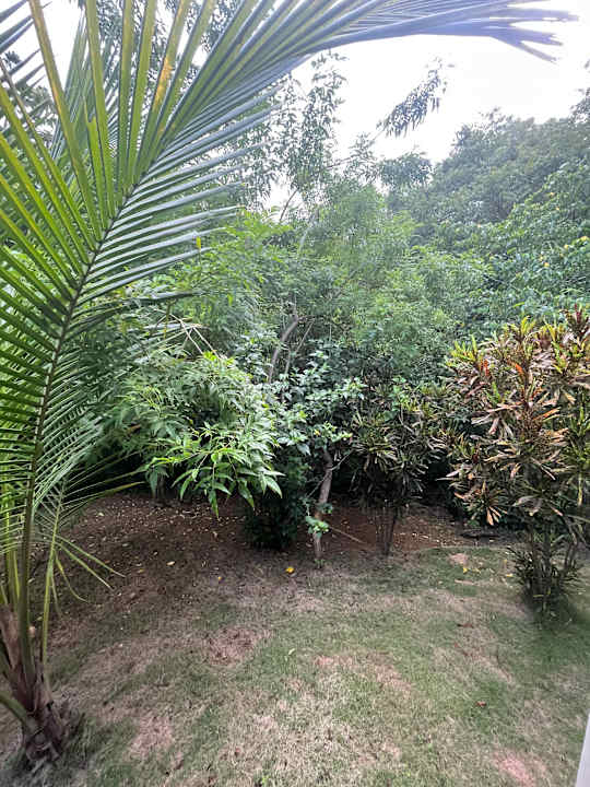 Ausblick Hostal Recuerdos del Tayrona