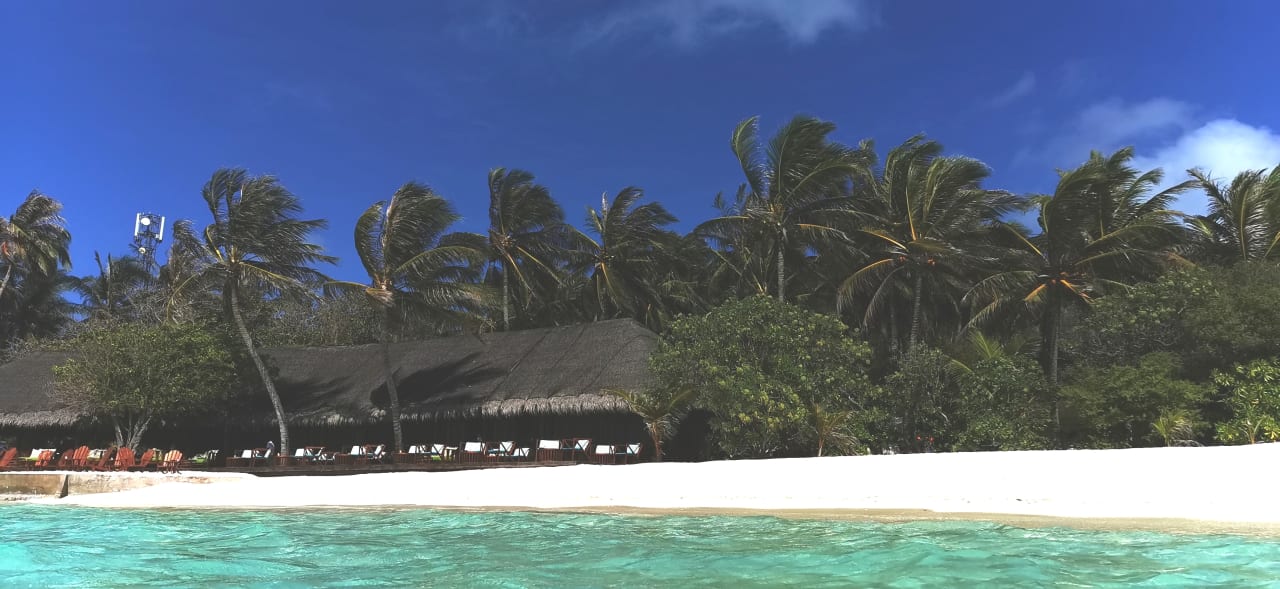 Gastro Summer Island Maldives