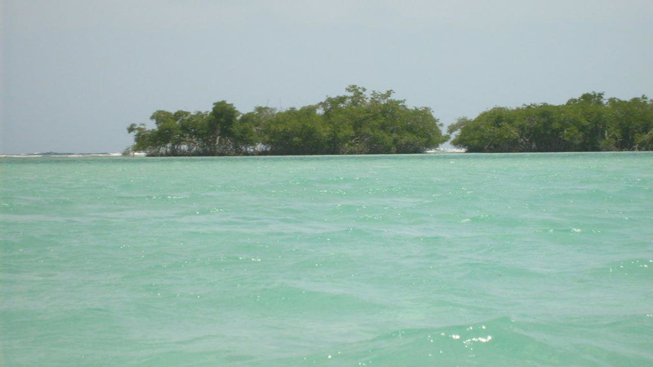 Wasser BelleVue Dominican Bay