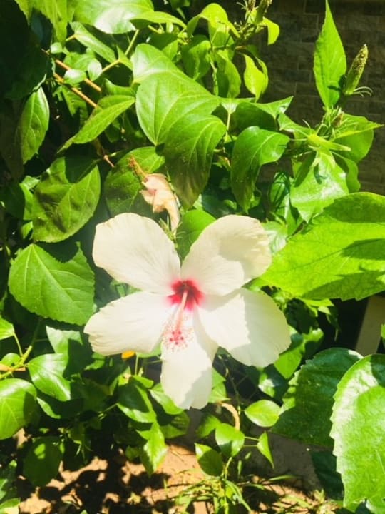 Sonstiges Ölüdeniz Turquoise Hotel