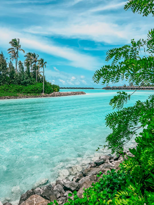 Gartenanlage TUI BLUE Olhuveli Romance