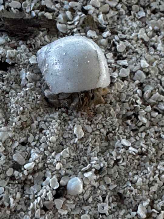 Strand Adaaran Select Meedhupparu Island Resort - Premium All Inclusive