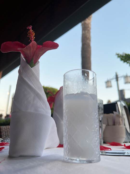 Gastro Adalya Ocean Deluxe