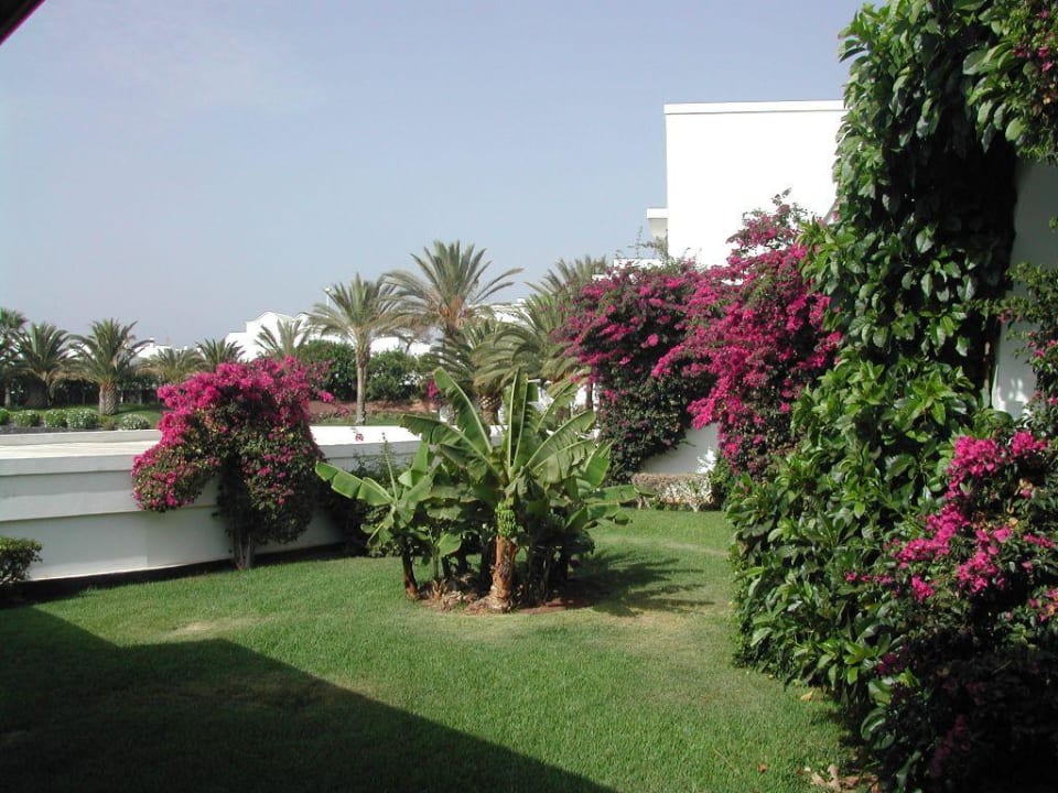 Gartenanlage als "Blickfang" Relaxia Olivina