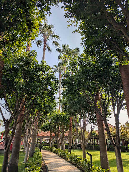 Gartenanlage allsun Numa Club Side