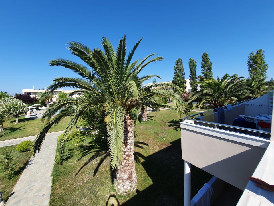 Gartenanlage Hotel Esperia