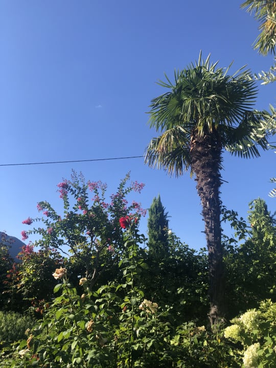 Gartenanlage Hotel Ansitz Plantiz