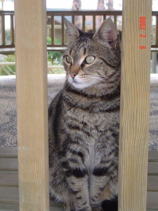 schöne Besucher Sunis Kumköy Beach Resort Hotel & Spa