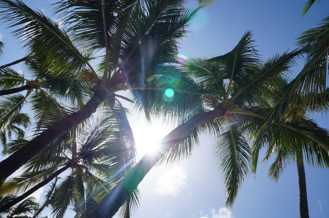 Bavaro Royalton Splash Punta Cana