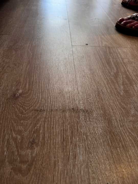 Zimmer Well Palace Side