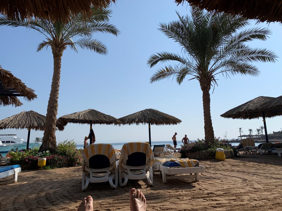 Strand Regina Resort and Aqua Park Hurghada