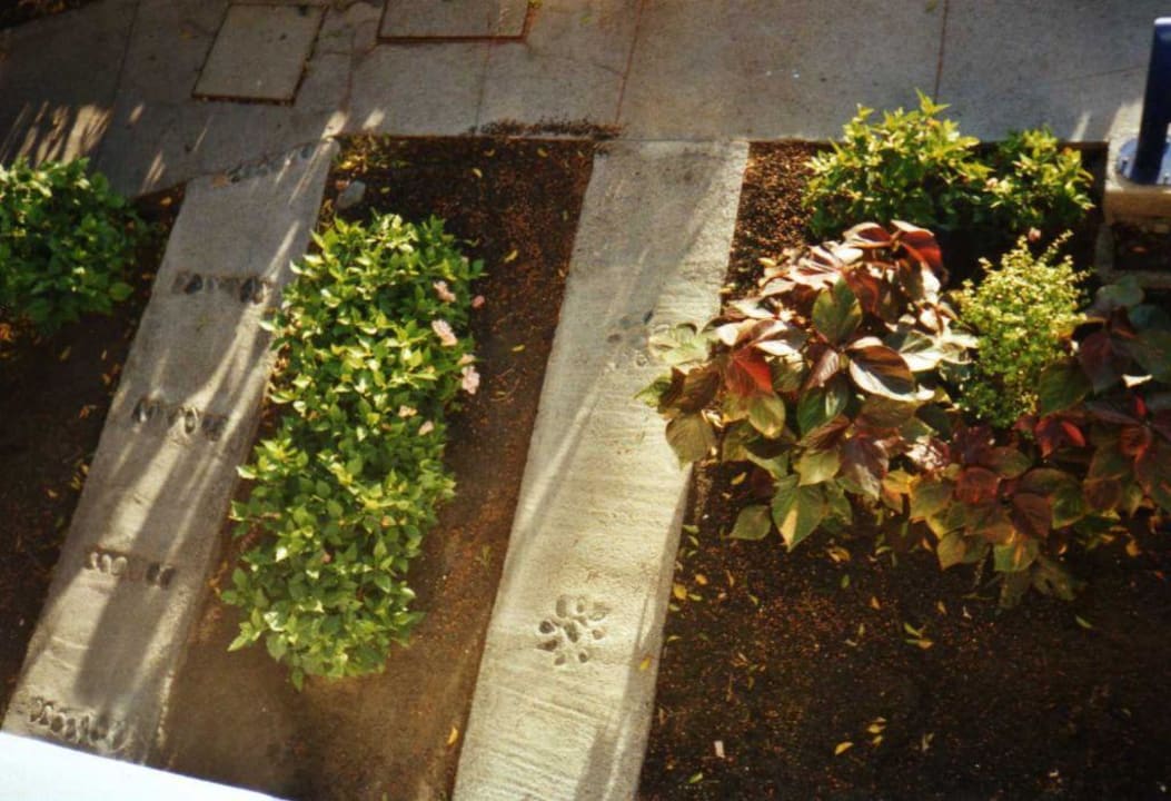 unser Vorgarten Hotel Bungalows Duna Flor