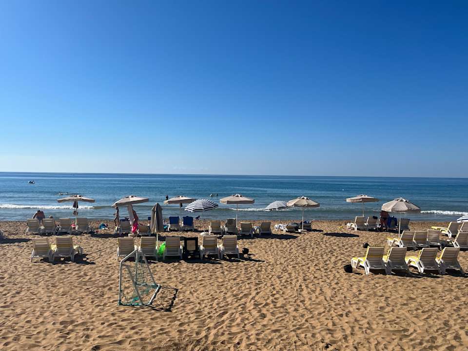 Strand AQI Pegasos Royal