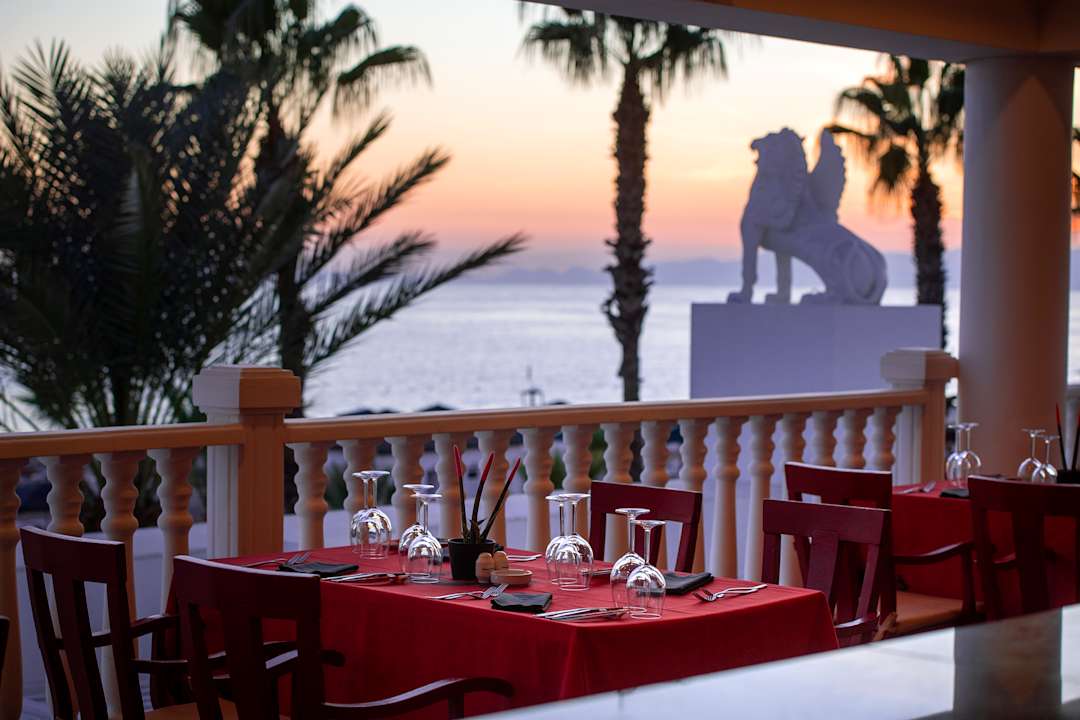 Gastro Kamelya Aishen Club