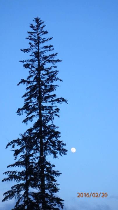 Widok Rezydencja Izabella